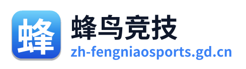 蜂鸟电竞